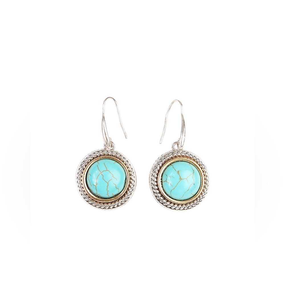 Round 2 Tone Fishhook Earrings